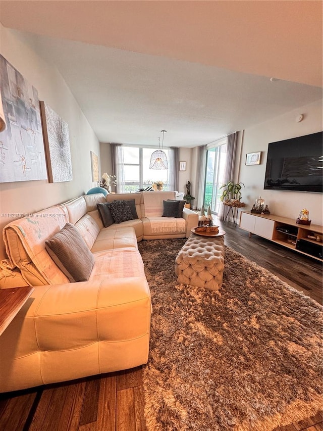 2681 N Flamingo Rd Unit 908S, Sunrise, FL 33323 - living room featuring wood finished floors