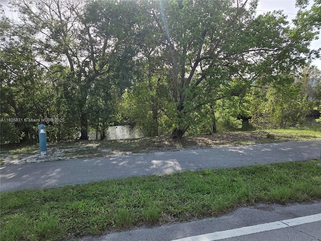 25 Ludlam Dr, Miami Springs, FL 33166 - photo 28