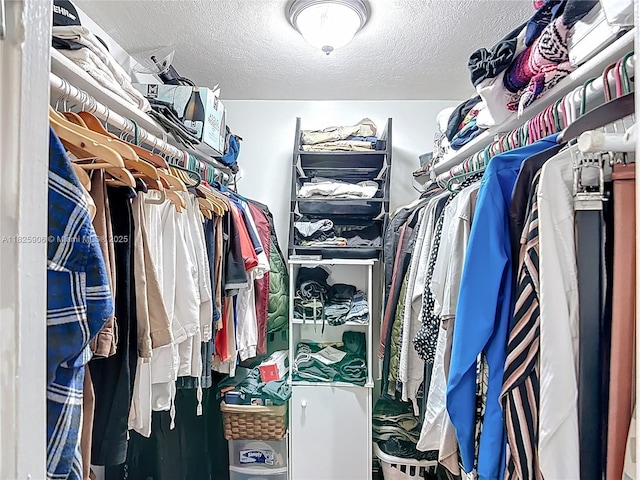 8635 NW 8th St Unit 103, Miami, FL 33126 - view of spacious closet