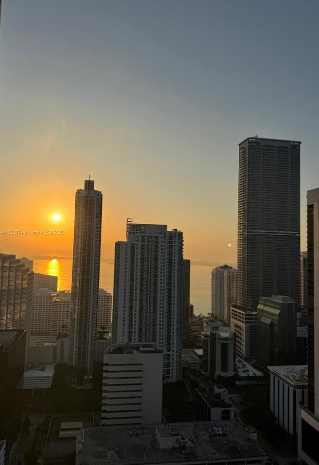 45 SW 9th St Unit 3602, Miami, FL 33130 - city view