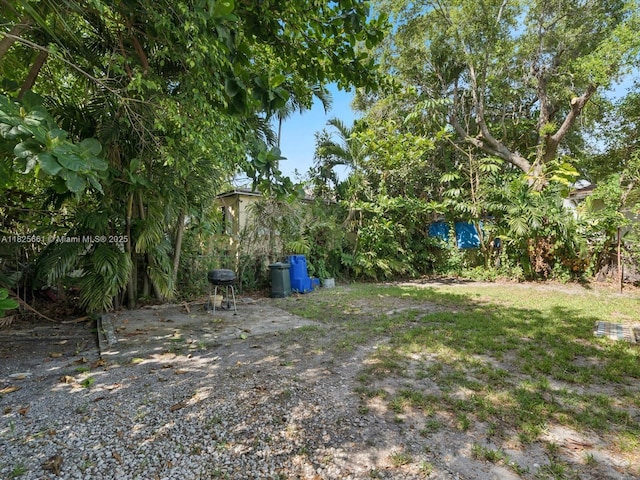 3490 Charles Ave, Miami, FL 33133 - view of yard