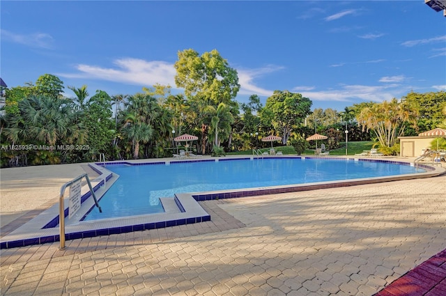 7100 NW 17th St Unit 402, Plantation, FL 33313 - community pool featuring a patio and view of wooded area