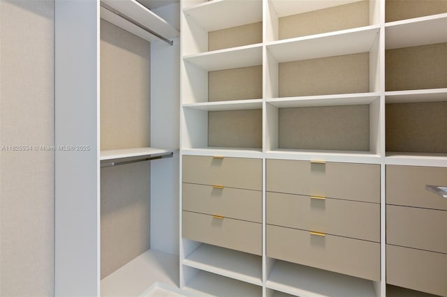 300 Biscayne Blvd Way Unit 2607, Miami, FL 33131 - view of spacious closet