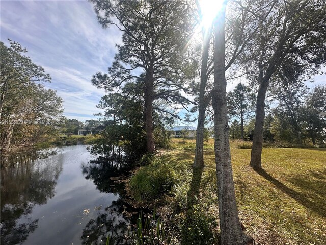 131 Blue Moon Ave, Lake Placid, FL 33852 - photo 13