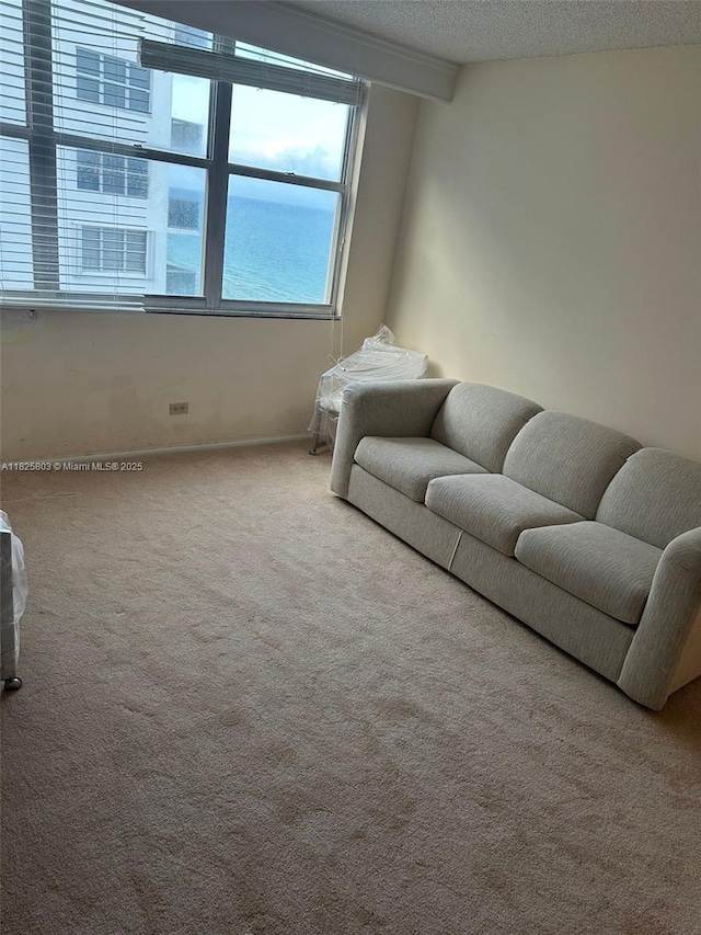 6039 Collins Ave Unit 1625, Miami Beach, FL 33140 - carpeted living room featuring a textured ceiling