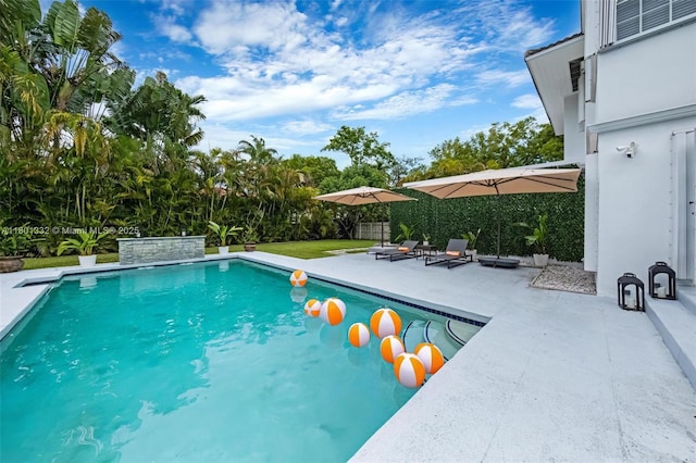 441 Grand Concourse, Miami Shores, FL 33138 - swimming pool with a patio area