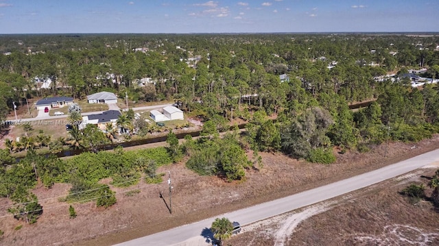 1025 E Winters St, Lehigh Acres, FL 33974