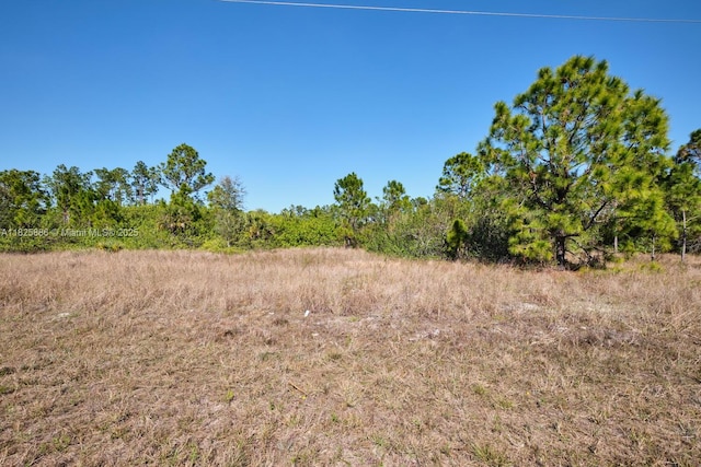 1025 E Winters St, Lehigh Acres, FL 33974