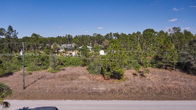 1025 E Winters St, Lehigh Acres, FL 33974