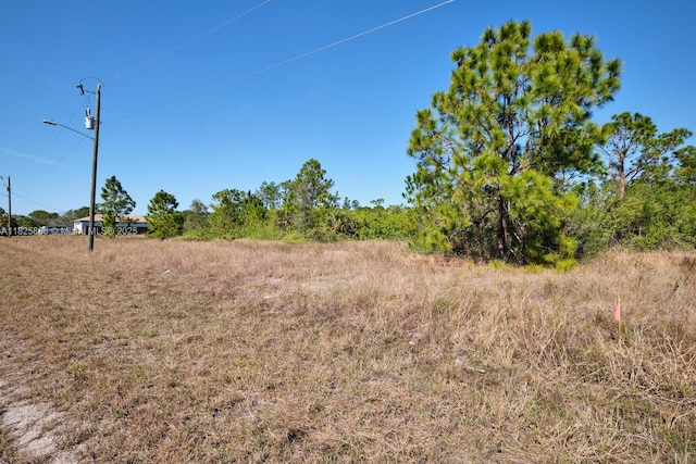 1025 E Winters St, Lehigh Acres, FL 33974