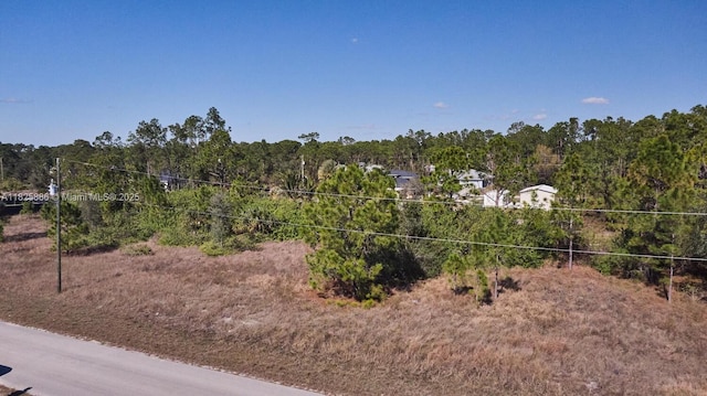 1025 E Winters St, Lehigh Acres, FL 33974