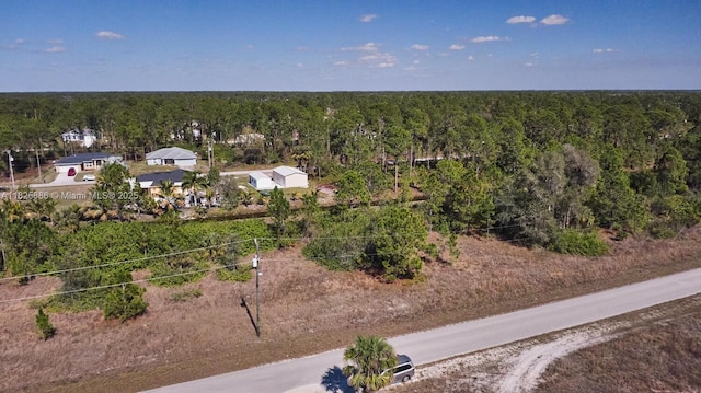 1025 E Winters St, Lehigh Acres, FL 33974