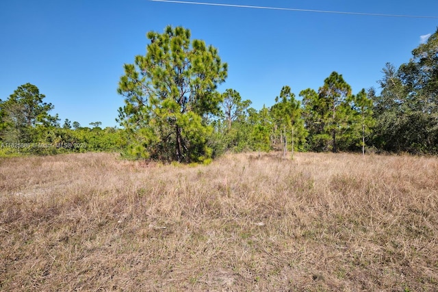 1025 E Winters St, Lehigh Acres, FL 33974