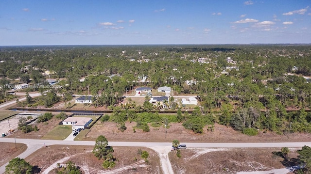 1025 E Winters St, Lehigh Acres, FL 33974