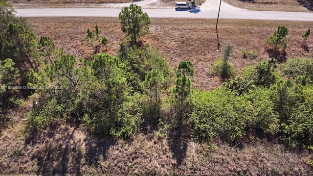 1025 E Winters St, Lehigh Acres, FL 33974