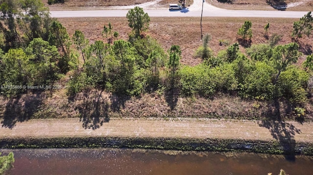 1025 E Winters St, Lehigh Acres, FL 33974