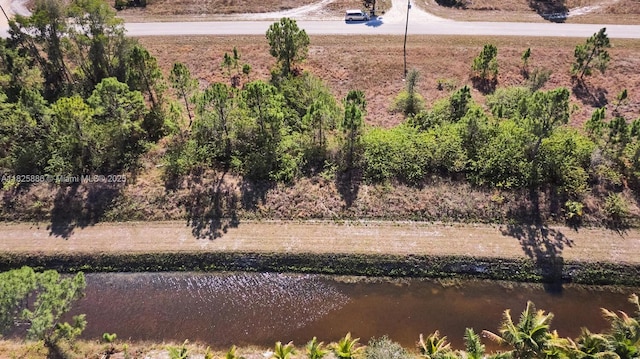 1025 E Winters St, Lehigh Acres, FL 33974