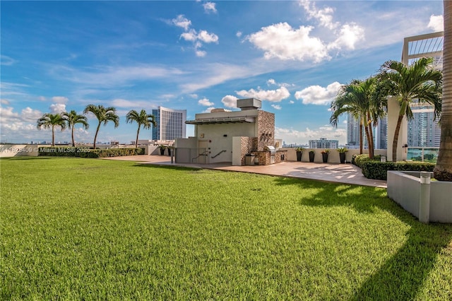 3301 NE 1st Ave Unit H2104, Miami, FL 33137 - view of grassy yard featuring an outdoor kitchen