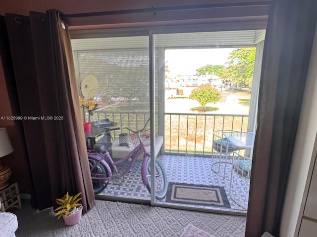 5200 Washington St Unit 207, Hollywood, FL 33021 - doorway with carpet flooring