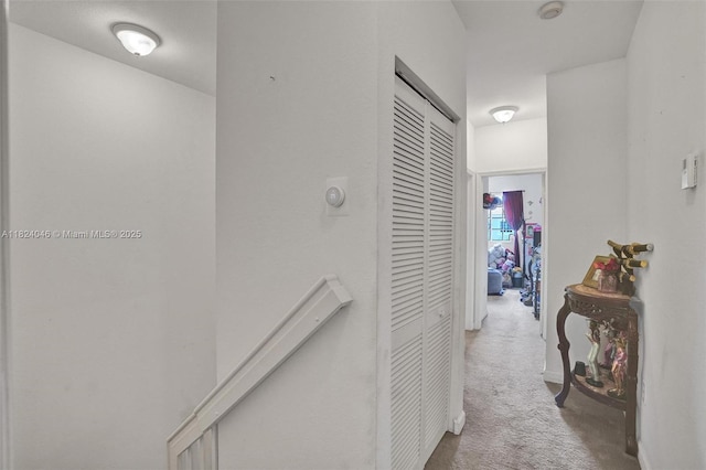 14844 SW 9th Ln, Miami, FL 33194 - corridor with carpet floors