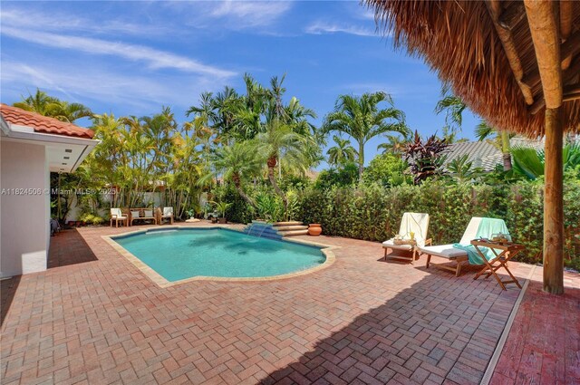 14241 SW 30th St, Miami, FL 33175 - view of pool with a patio