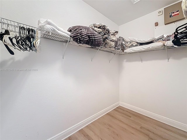 1214 SW 147th Ter, Pembroke Pines, FL 33027 - spacious closet featuring light wood-type flooring