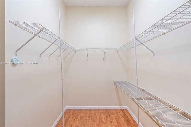 7348 Copperfield Cir, Lake Worth, FL 33467 - spacious closet with light wood-style flooring