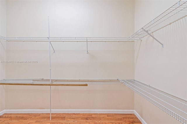 7348 Copperfield Cir, Lake Worth, FL 33467 - walk in closet with light wood-style flooring