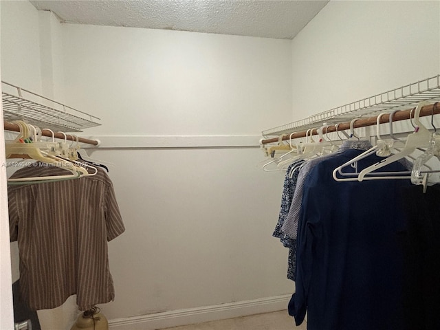 1635 W 44th Pl Unit 509, Hialeah, FL 33012 - spacious closet featuring carpet flooring