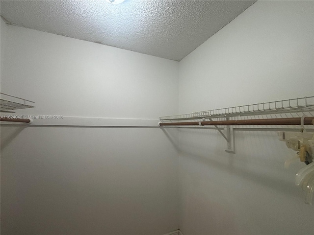 1635 W 44th Pl Unit 509, Hialeah, FL 33012 - view of spacious closet