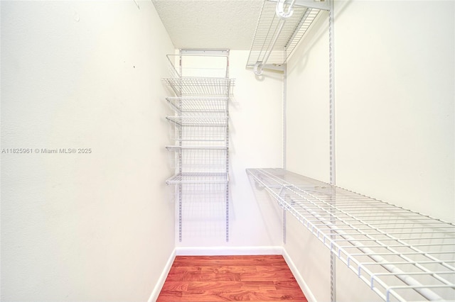 6440 NW 114th Ave Unit 434, Doral, FL 33178 - walk in closet with wood finished floors