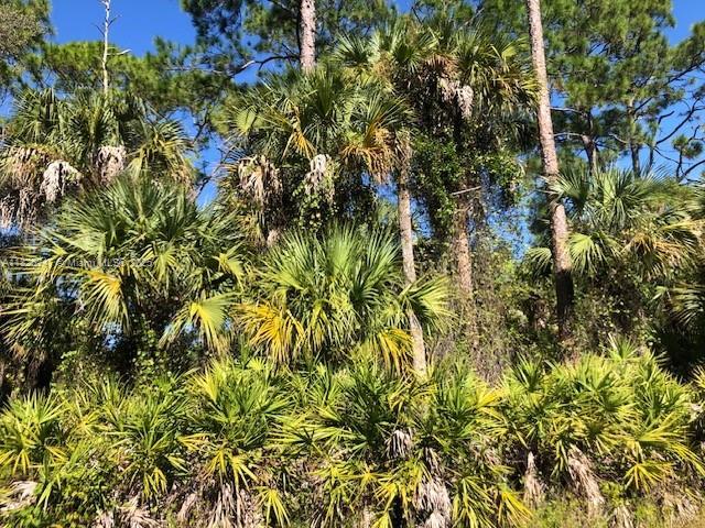 5005 Spinnaker Rd, La Belle, FL 33935 - photo 1