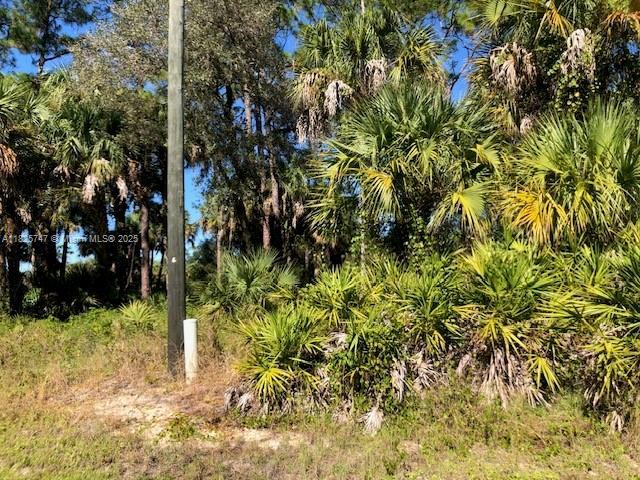5005 Spinnaker Rd, La Belle, FL 33935 - photo 2