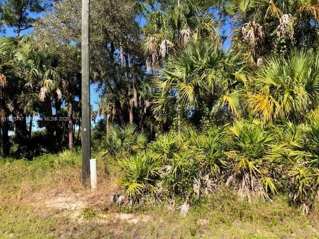 5005 Spinnaker Rd, La Belle, FL 33935 - photo 3