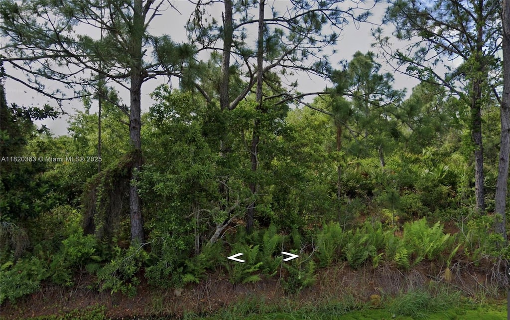 1008 NW Concorde Pkwy, Lake Placid, FL 33852 - photo 1