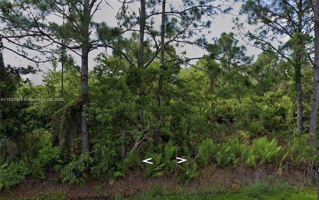 1008 NW Concorde Pkwy, Lake Placid, FL 33852 - photo 1