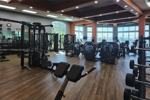 10989 NW 73rd Ter, Doral, FL 33178 - gym featuring plenty of natural light, wood finished floors, and recessed lighting