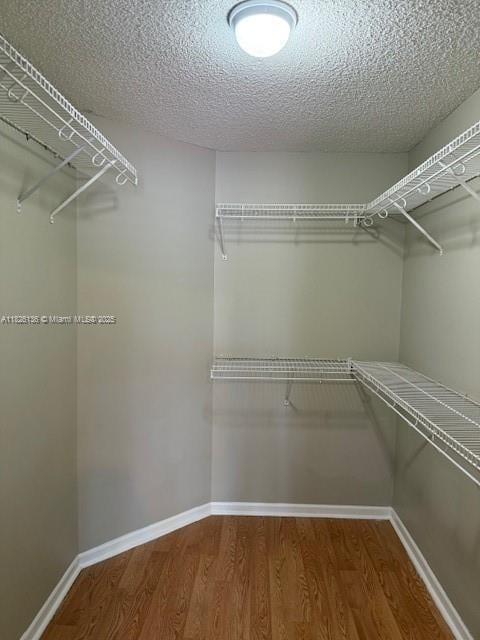 7964 La Rose Ct, Lake Worth, FL 33467 - spacious closet with wood finished floors