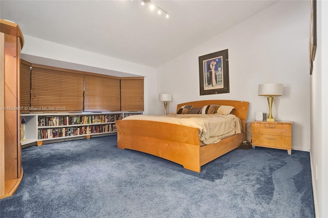 3820 SW 106th Ter, Davie, FL 33328 - bedroom featuring lofted ceiling and carpet