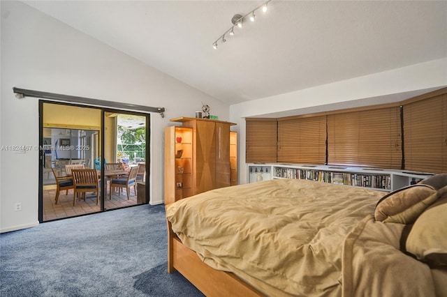 3820 SW 106th Ter, Davie, FL 33328 - bedroom with access to outside, lofted ceiling, and carpet
