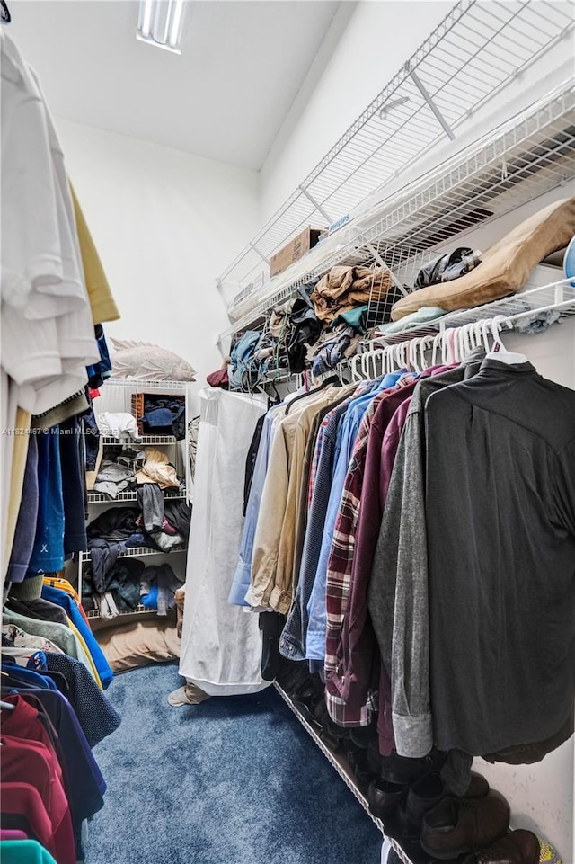 3820 SW 106th Ter, Davie, FL 33328 - view of spacious closet