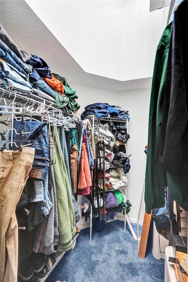 3820 SW 106th Ter, Davie, FL 33328 - walk in closet with carpet flooring