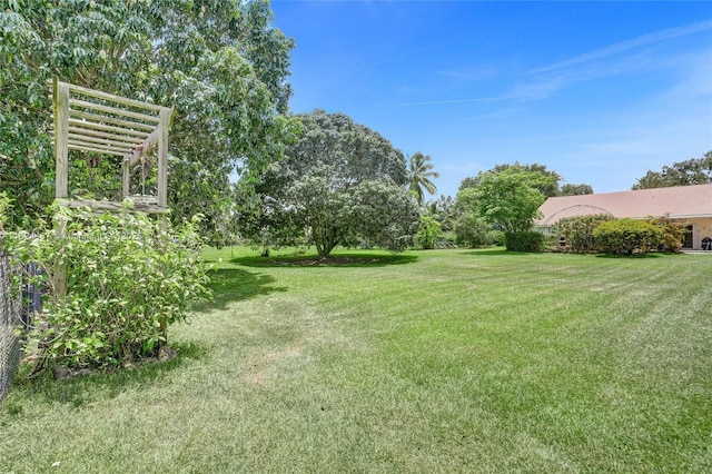 3820 SW 106th Ter, Davie, FL 33328 - view of green lawn