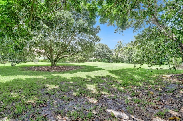 3820 SW 106th Ter, Davie, FL 33328 - view of green lawn
