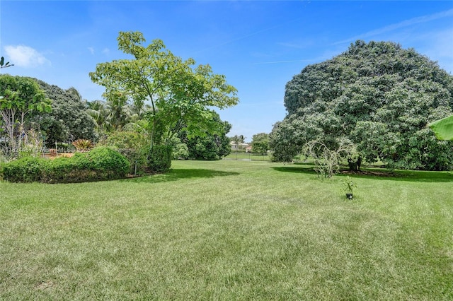 3820 SW 106th Ter, Davie, FL 33328 - view of grassy yard