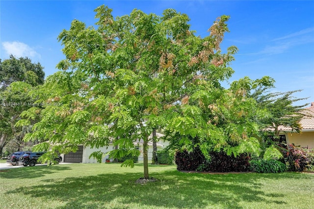 3820 SW 106th Ter, Davie, FL 33328 - view of grassy yard