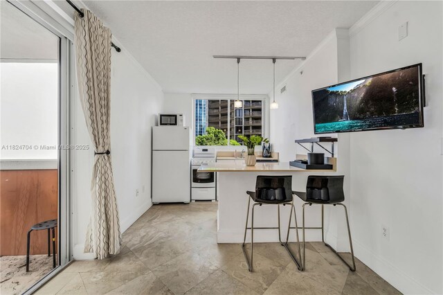 2951 S Bayshore Dr Unit 717, Miami, FL 33133 - kitchen with white appliances, a peninsula, track lighting, decorative light fixtures, and crown molding