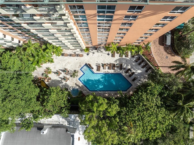2951 S Bayshore Dr Unit 717, Miami, FL 33133 - drone / aerial view of a pool