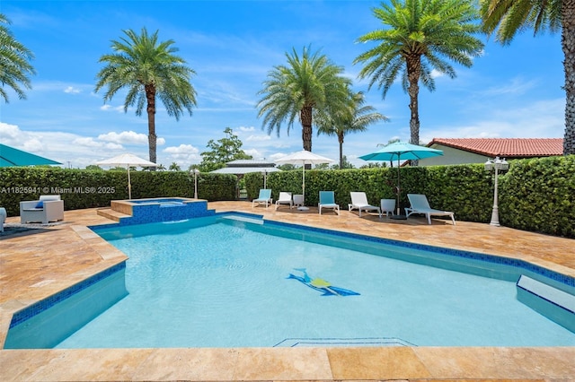 17490 SW 70th Pl, Southwest Ranches, FL 33331 - view of swimming pool featuring a patio area and a pool with connected hot tub