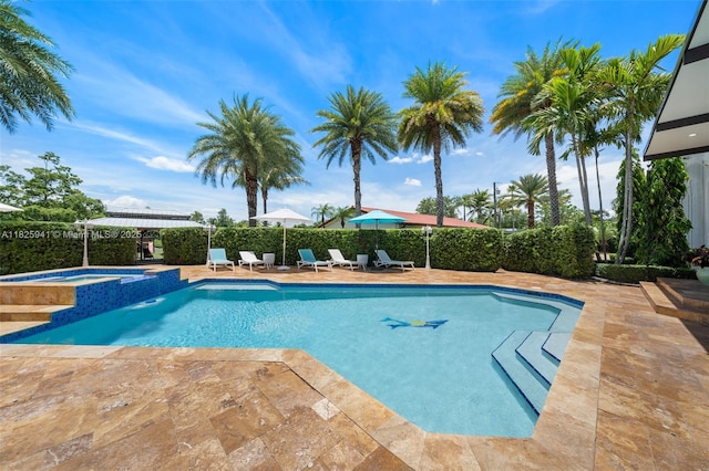 17490 SW 70th Pl, Southwest Ranches, FL 33331 - view of pool with a patio area and a pool with connected hot tub